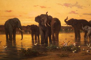 Elefanti africani da Charles Émile de Tournemine